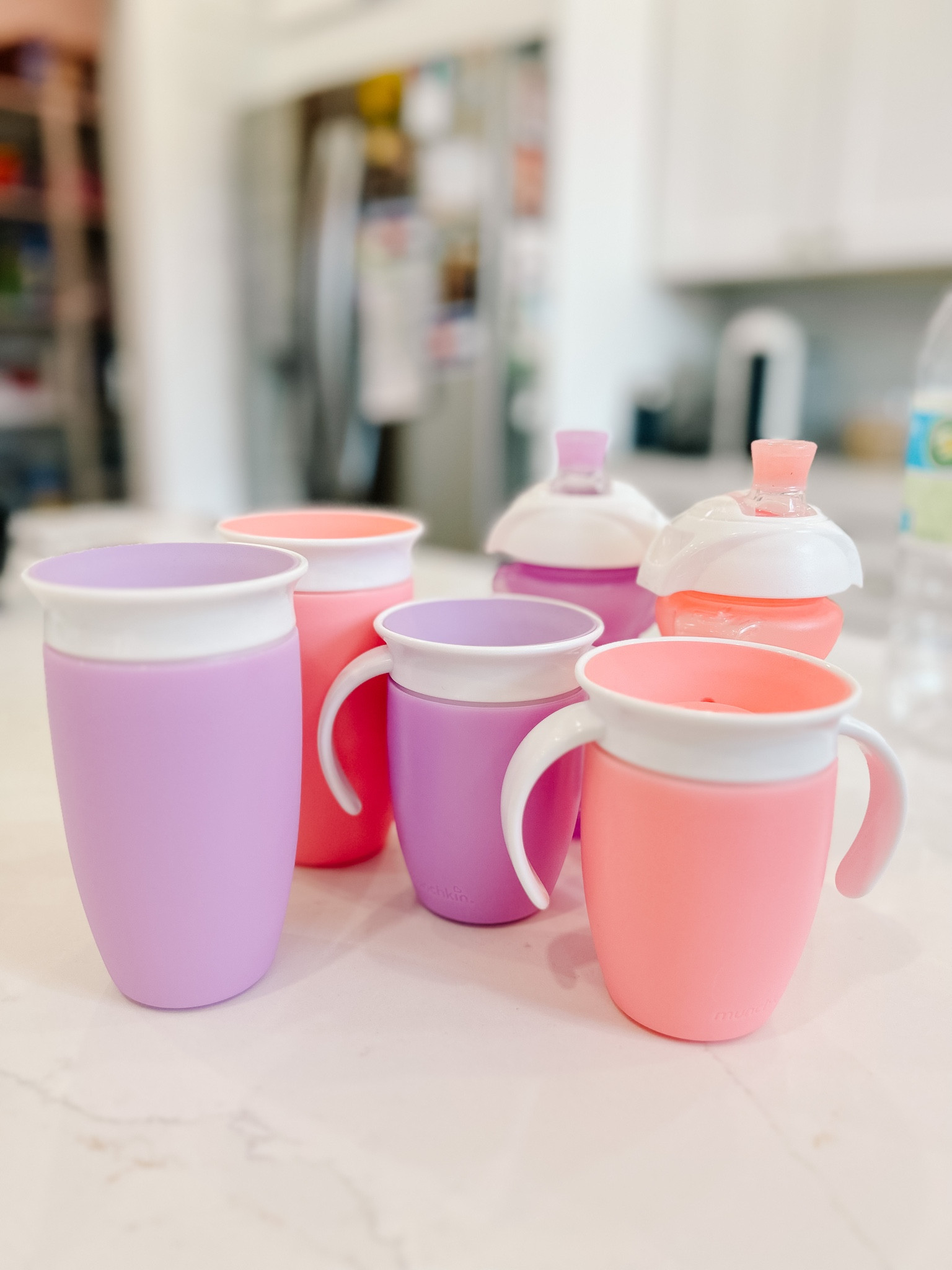 Pink and purple pastel sippy cups! (They also come in blue and green)

#LTKFind #LTKbaby #LTKkids