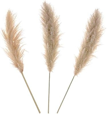 Visit the GOT2GO Store | Amazon (US)