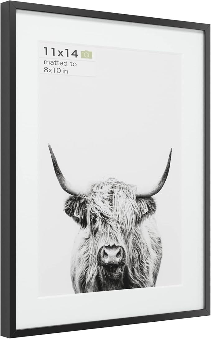 Homeforia - 11x14 inch Metal Picture Frame - 11 x 14 Aluminum Photo Frames - 8x10 Mat - Tempered ... | Amazon (US)