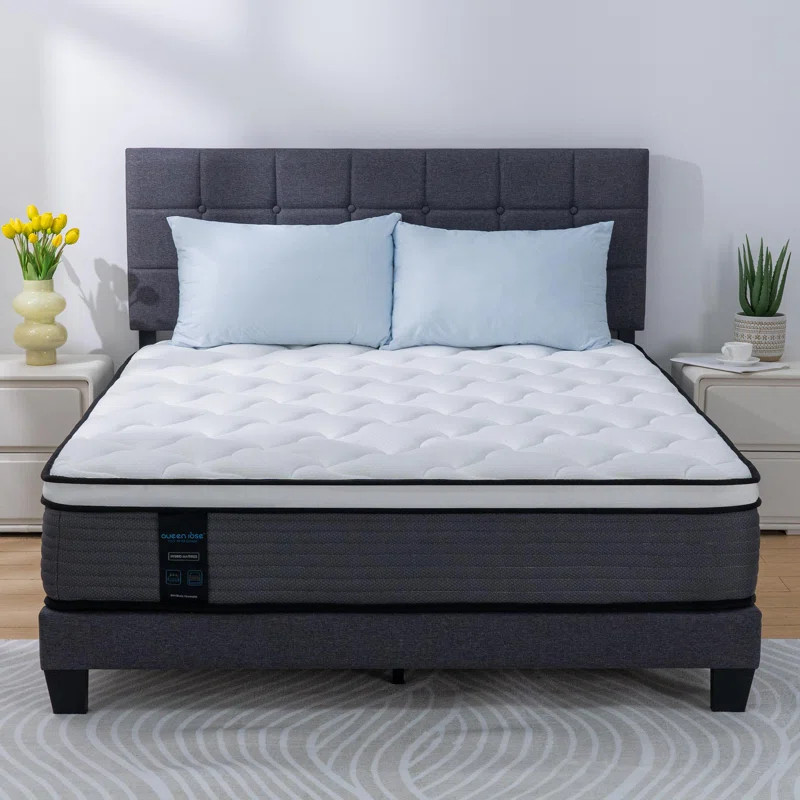 Queen Rose 12'' Medium Hybrid Last Foam Mattress in a Box & Reviews | Wayfair | Wayfair North America
