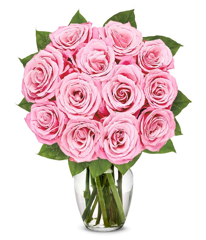 Classic Light Pink Rose Bouquet | From You Flowers