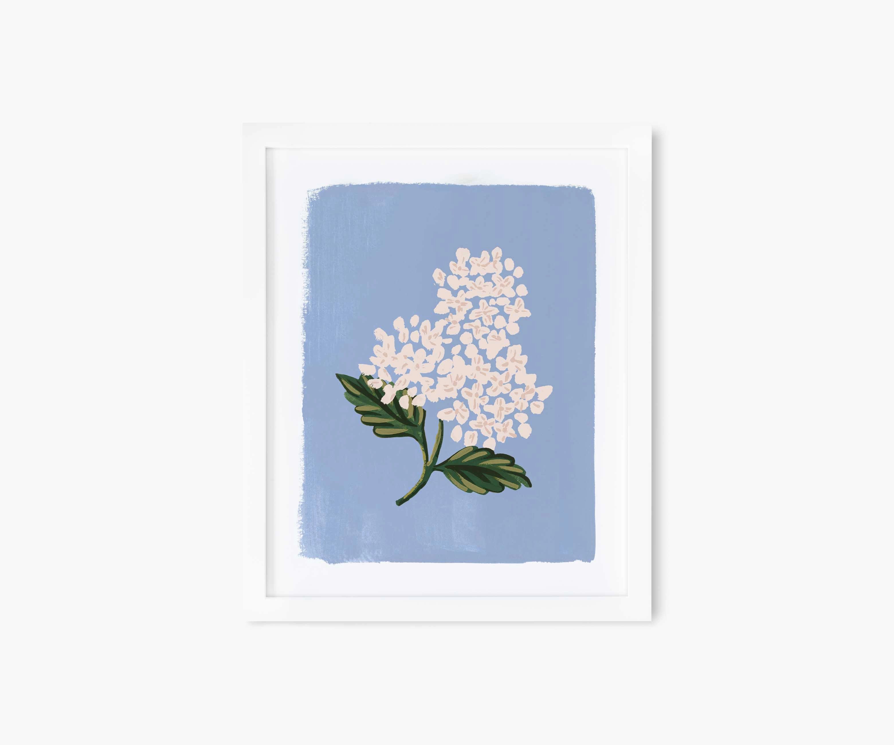 Hydrangea Bloom Blue Art Print | Rifle Paper Co.