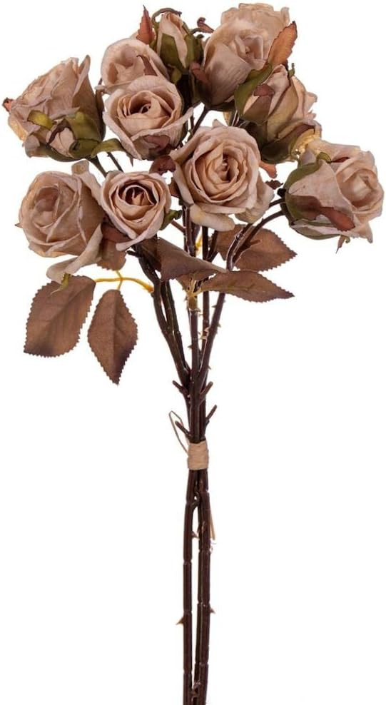 Vickerman 16.5" Cream Artificial Dried Rose Bundle. | Amazon (US)