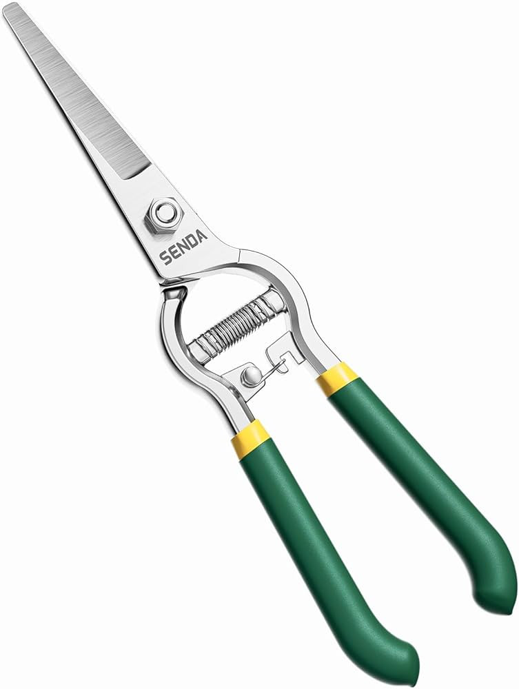 8" Pruning Shears, Dual-Color Coated Garden Scissors with Non-Slip Ergonomic Handle, Bypass Pruni... | Amazon (US)