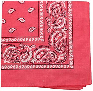 Motique Accessories 22 Inch Cotton Paisley Bandana | Amazon (US)