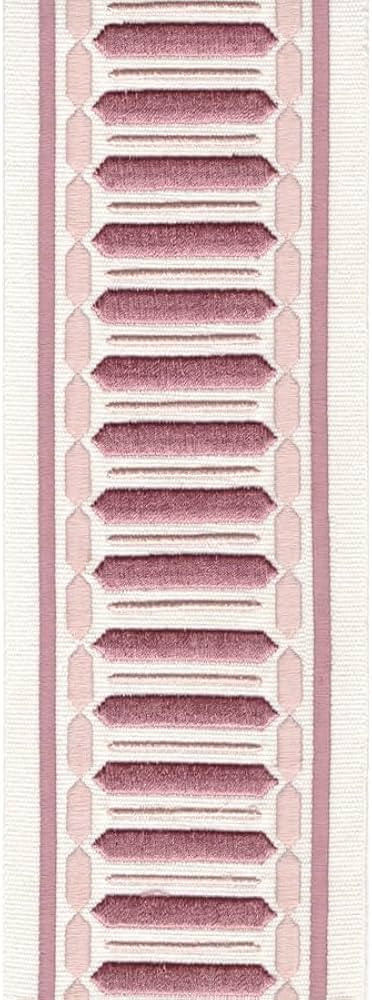 Horizontal Striped Embroidered Decorative Trim Border Tape Ribbon - 4 Inches Wide - Perfect for C... | Amazon (US)
