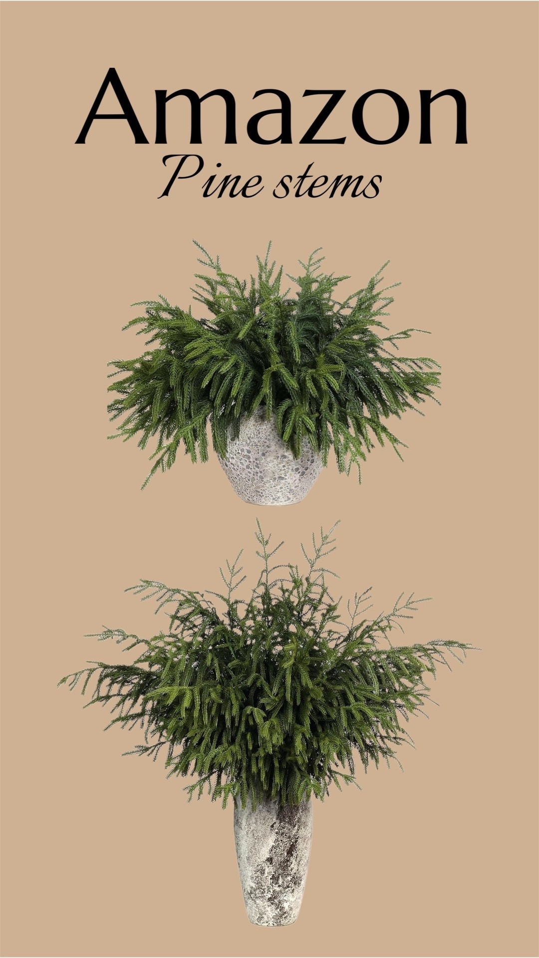 Pine stems

#LTKHoliday