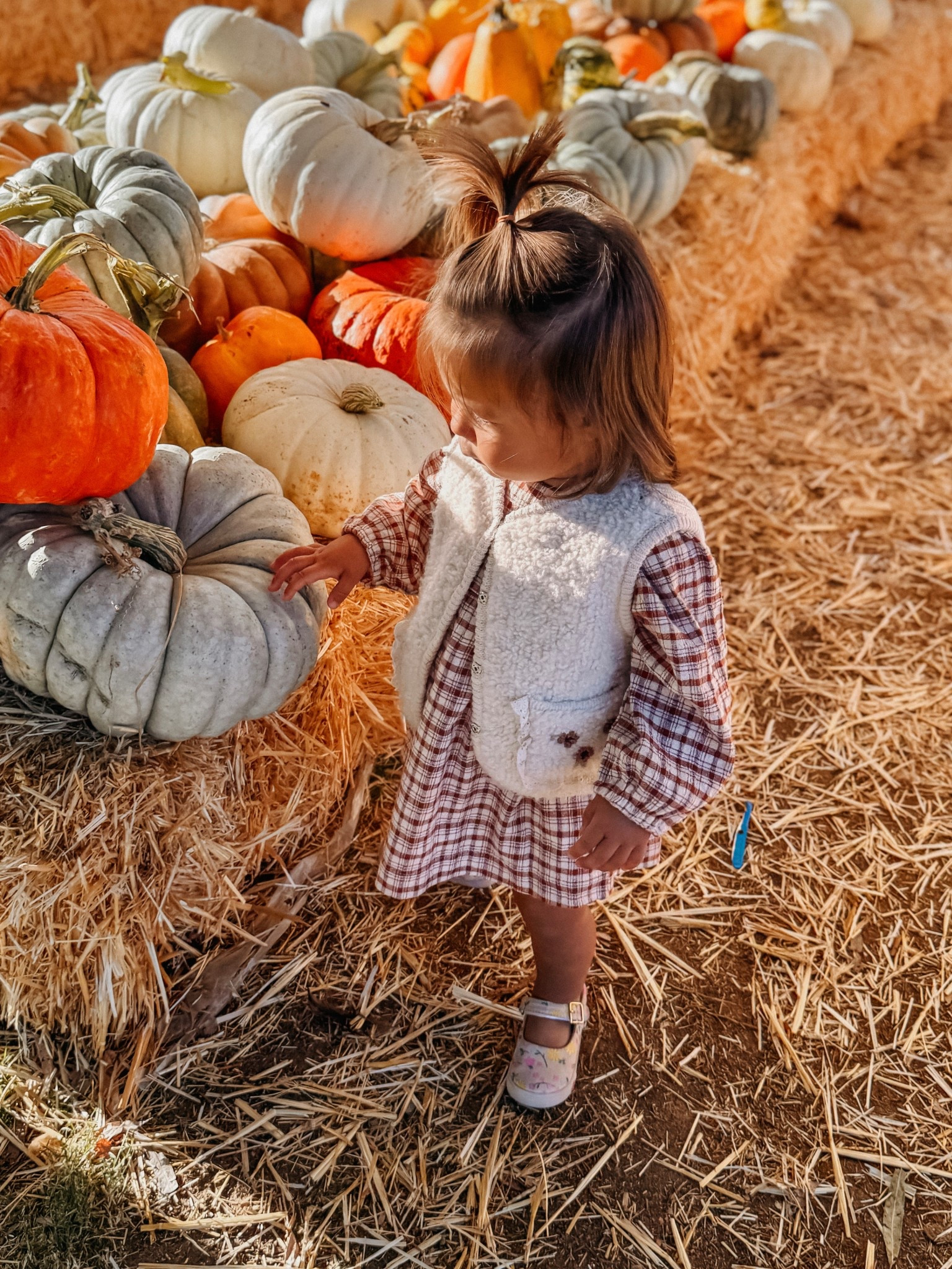 Toddler girl outfit from Zara. Runs TTS
Fall outfit toddler girl
Pumpkin patch
Plaid dress
Sherpa vest



#LTKBaby #LTKKids #LTKFamily