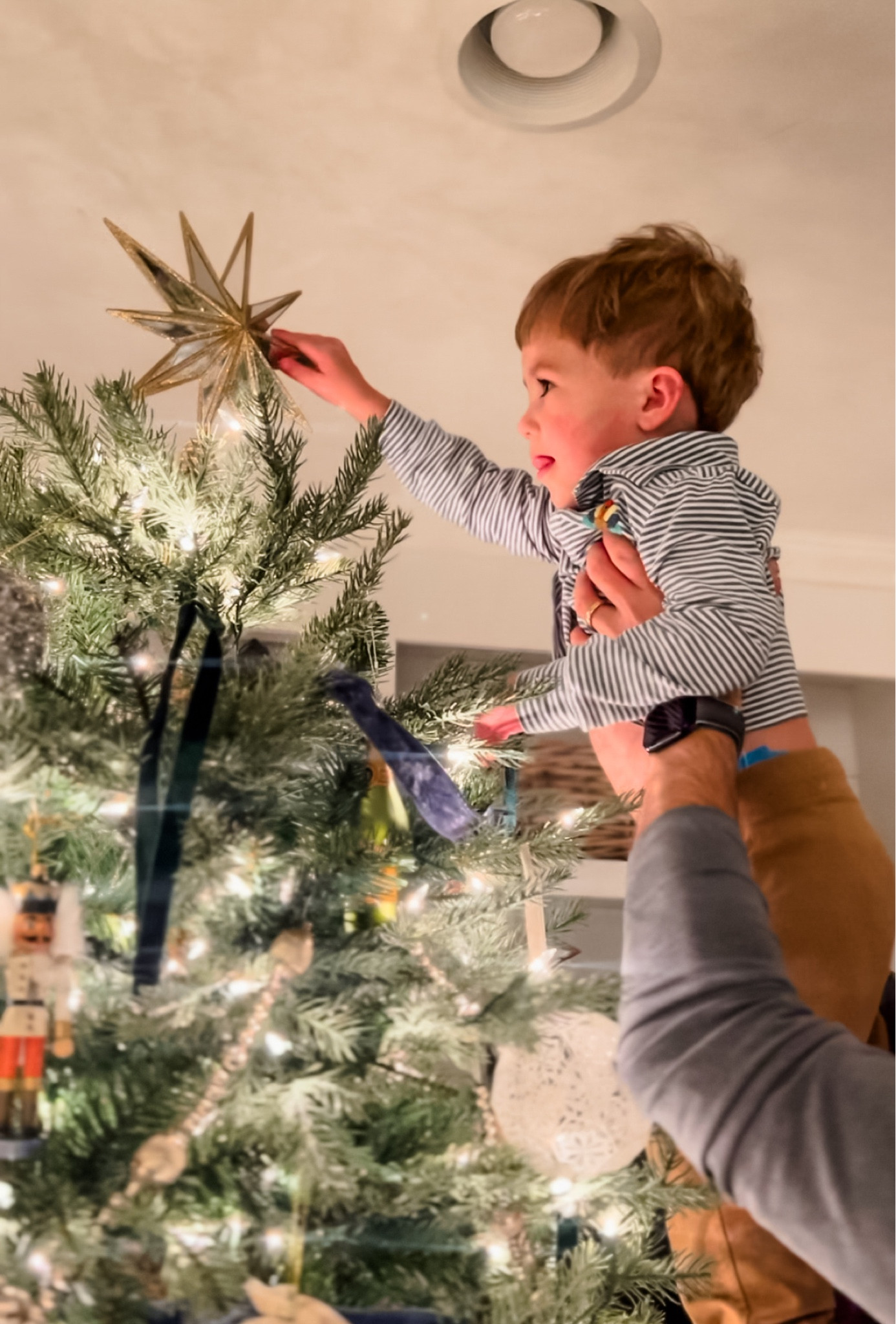 I wish I could bottle up this Christmas magic and save it for the rest of time! Picking out a Christmas tree was always a favorite memory for me. So, I am feeling a little nostalgia seeing everyone pick out a real tree. BUT the allergy to pine is worse than the FOMO, so I'll keep reminding myself of that. If you are looking for an artificial tree, I basically shopped for the most realistic tree for six months. See below for all the decor to deck your halls! 

#LTKCyberWeek #LTKHoliday #LTKSeasonal