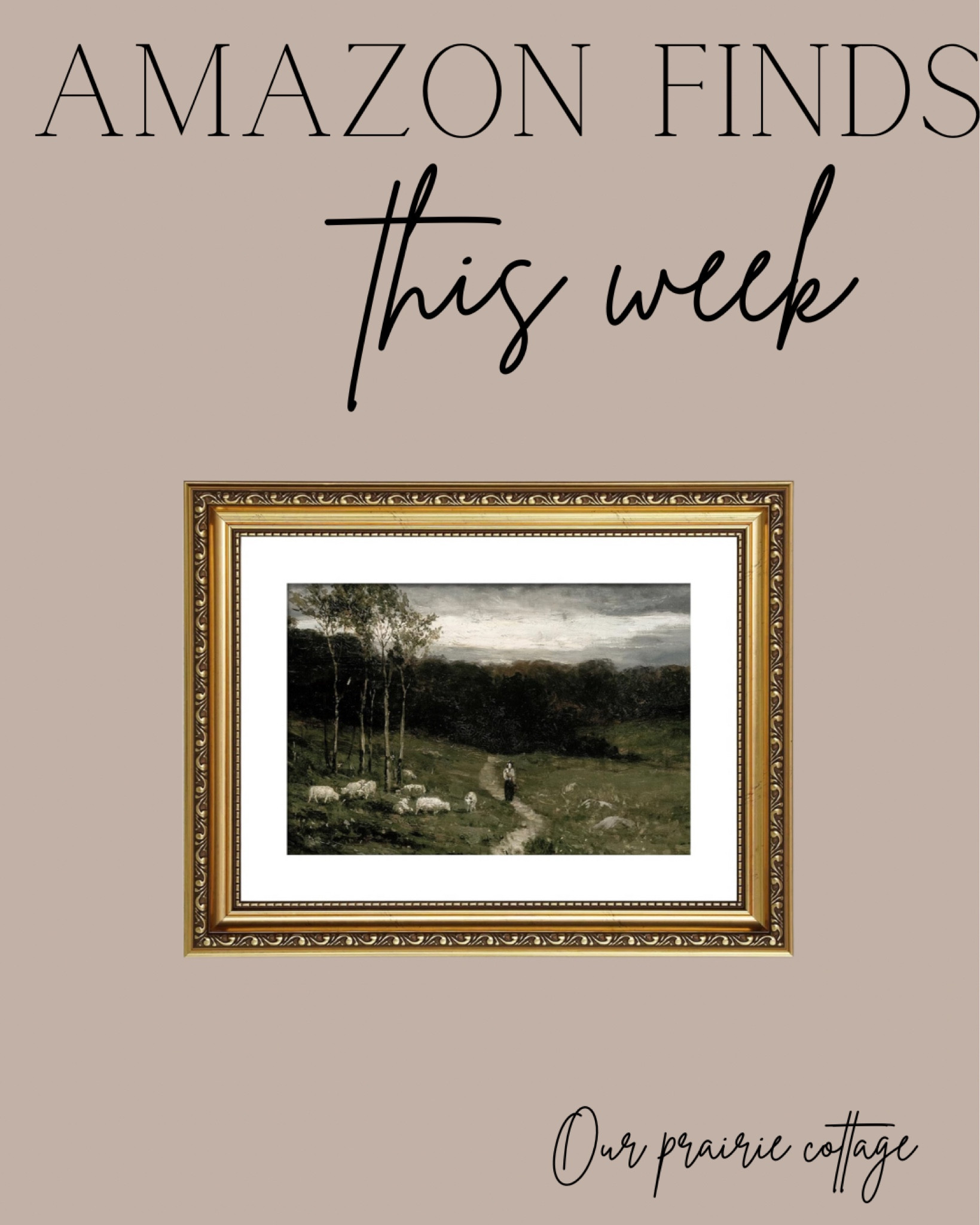 Amazon finds 

#LTKhome