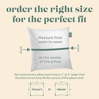 14x20 Decorative Throw Pillow Insert, Down and Feathers Fill, 100% Cotton Cover 233 Thread Count,... | Amazon (US)