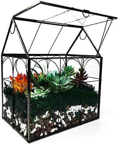 Large Tall Plant Terrarium Glass – Glass Greenhouse Terrarium with Lid, 8.7"X5.9"X10.6" Inches ... | Amazon (US)