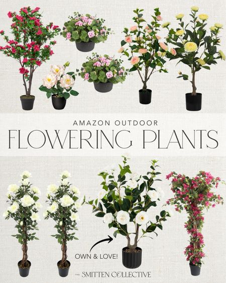 Amazon outdoor patio and front porch faux flowering plants! 

#LTKSeasonal #LTKhome #LTKsalealert