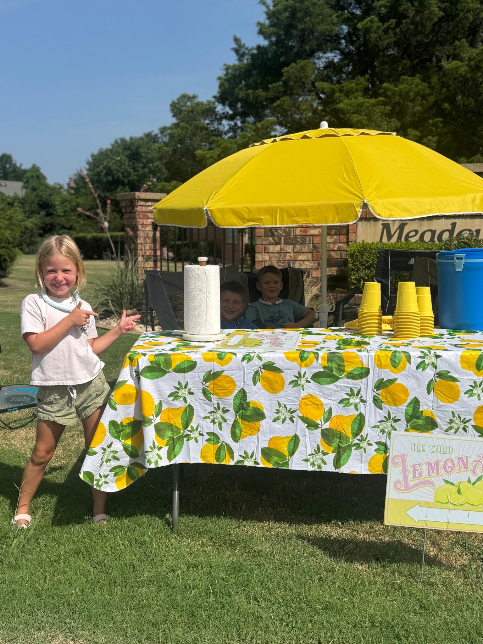 Everything you need for a classy lemonade stand 🍋 

#LTKFamily #LTKSeasonal #LTKHome