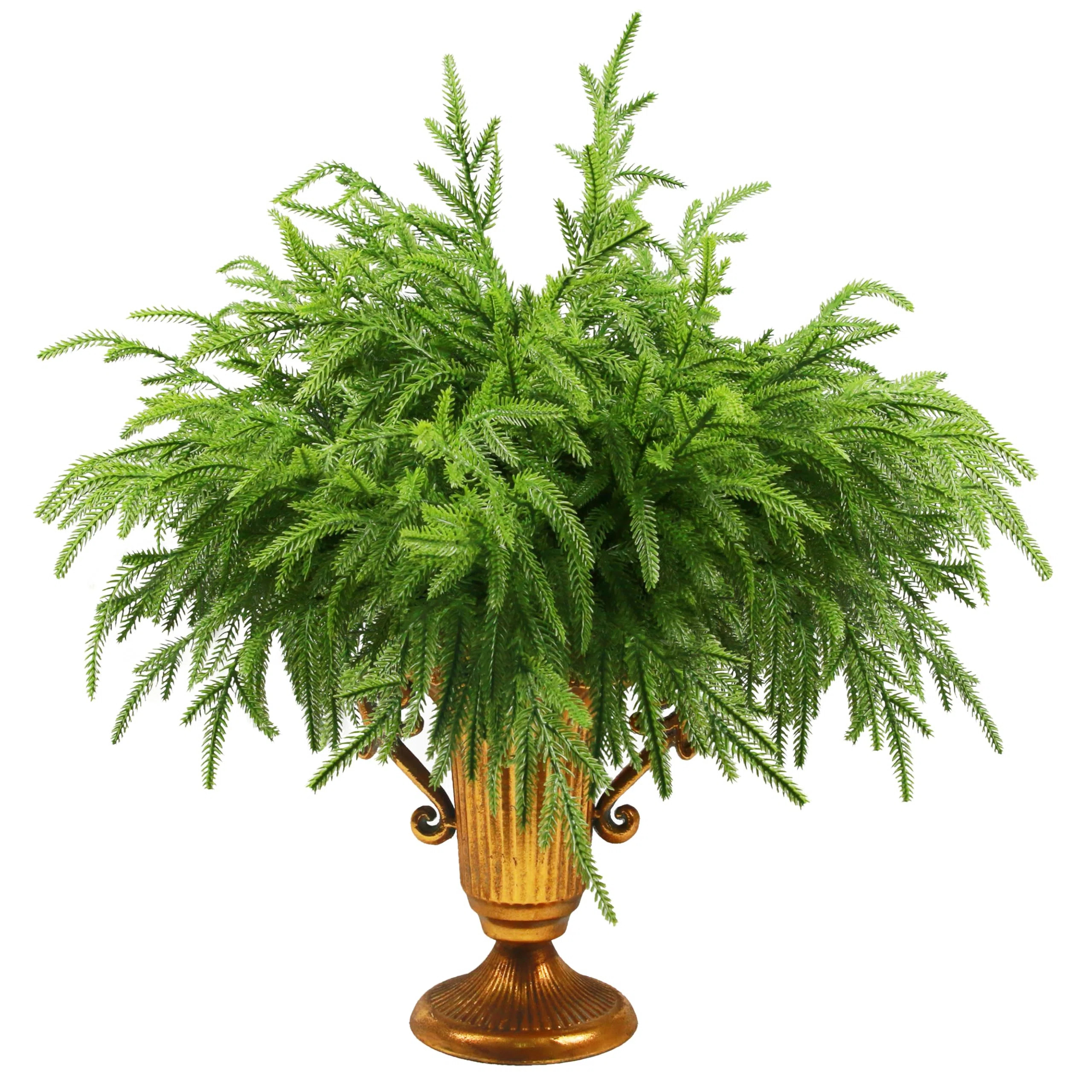 12Pcs Artificial Norfolk Pine Branches Plastic Christmas Plants Decor | Wayfair North America