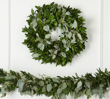 Live Ruscus & Seeded Eucalyptus Wreath & Garland | Pottery Barn (US)