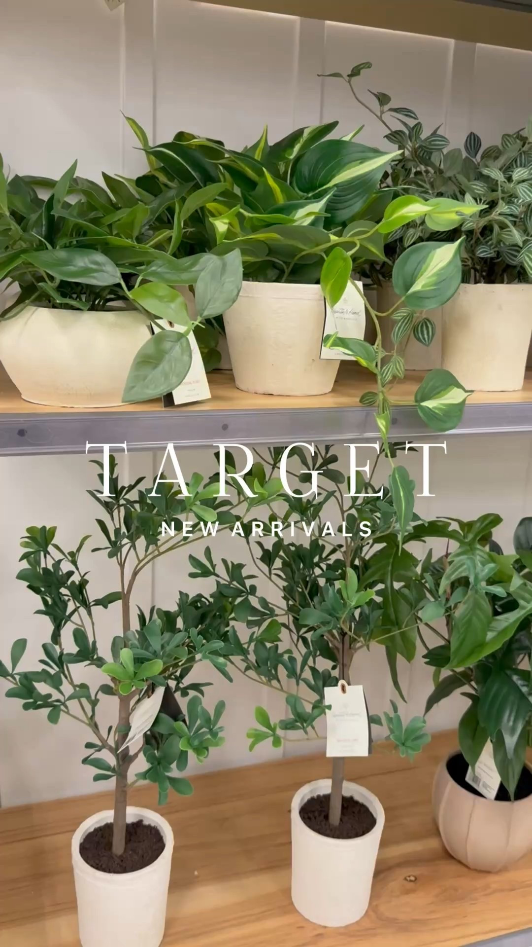 Early Spring Arrivals | so many beautiful glitter greens and real touch floral stems 

Home decor. Spring Decor. Target Finds  

#LTKOver40 #LTKHome #LTKSeasonal