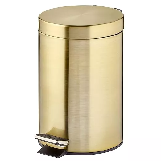  JILLICK Small Mini Trash Can with Lid, Brushed