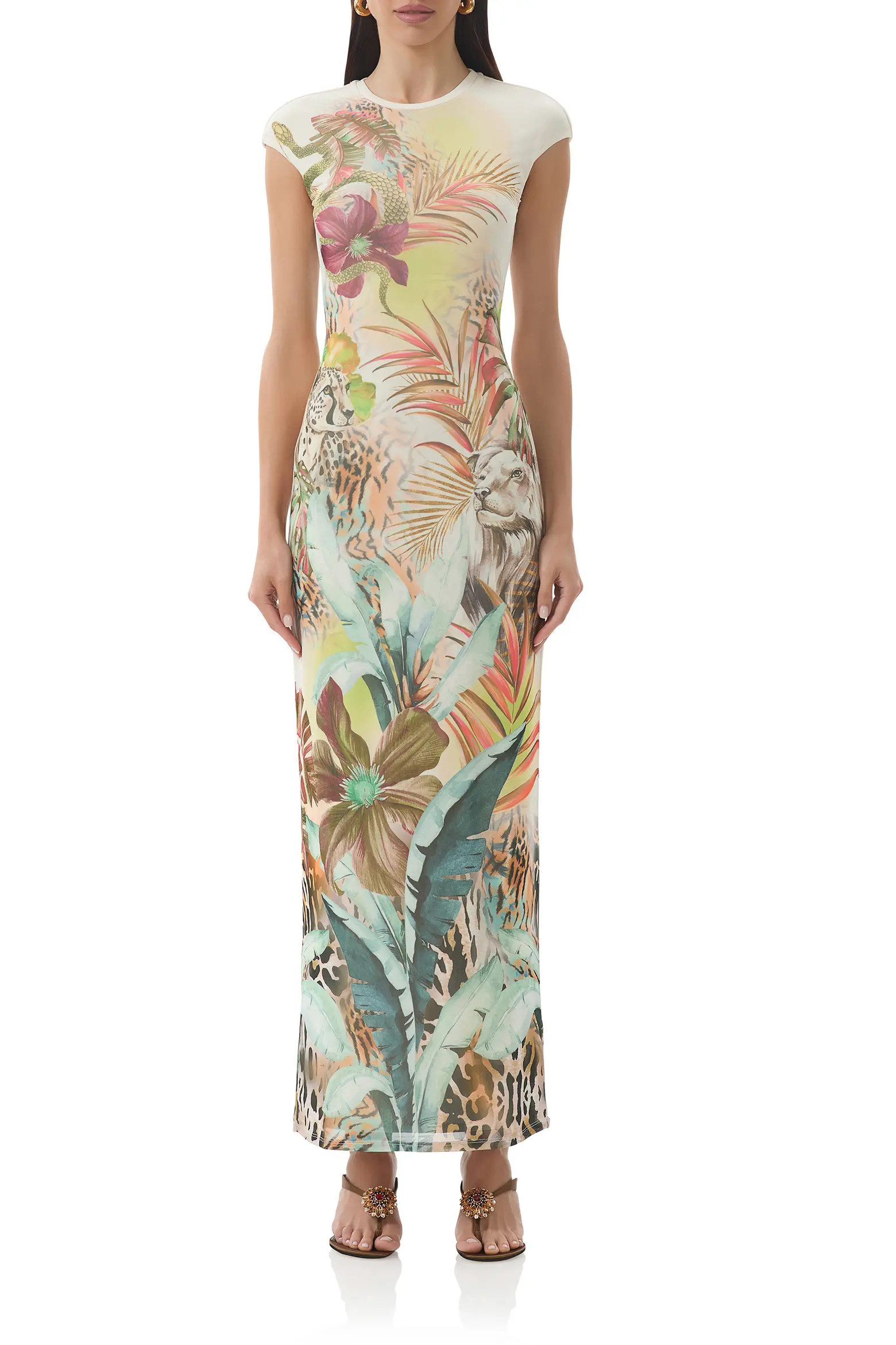 Cody Print Cap Sleeve Mesh Maxi Dress (Women) | Nordstrom | Nordstrom