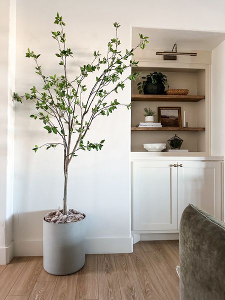 Faux tree
Minimal citrus tree
Faux cement planter 

#LTKhome #LTKSeasonal