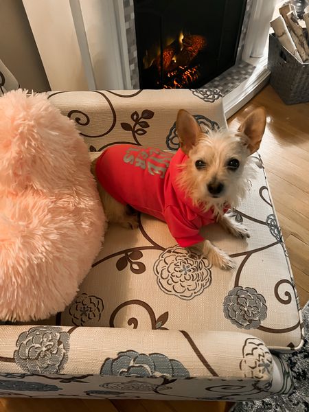 Zoey in her pink Valentine’s Day hoodie on deal for $7.99 - dog clothes - dog products - pet products - printed recliner - heart pillow - Valentine’s Day decor - Amazon pets - Amazon home - Amazon deals - Amazon finds 


#LTKSeasonal #LTKsalealert #LTKhome
