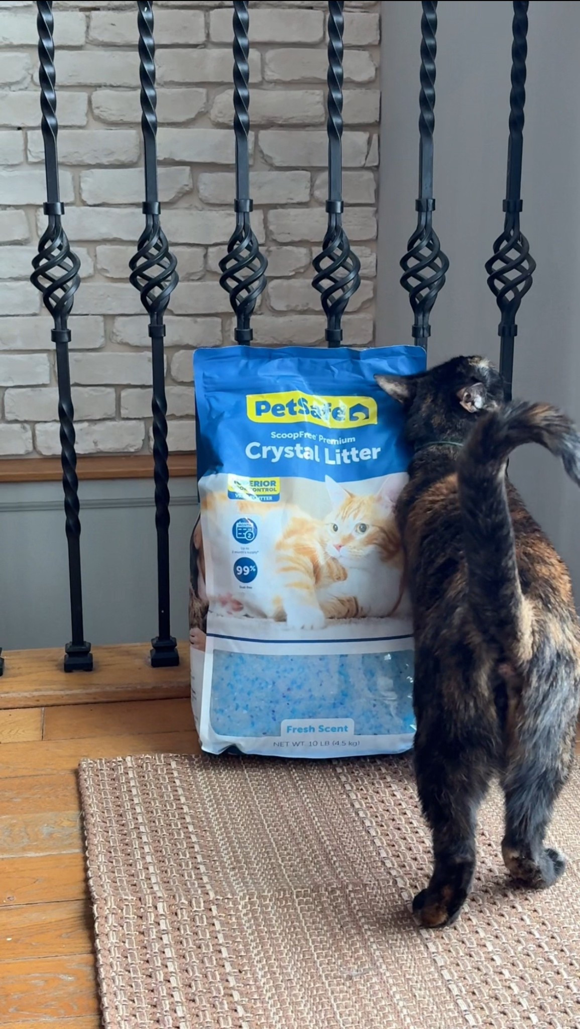 PetSafe crystal cat litter, the odor control on this is top tier 🙂‍↕️ 

#LTKmomlife #LTKHome