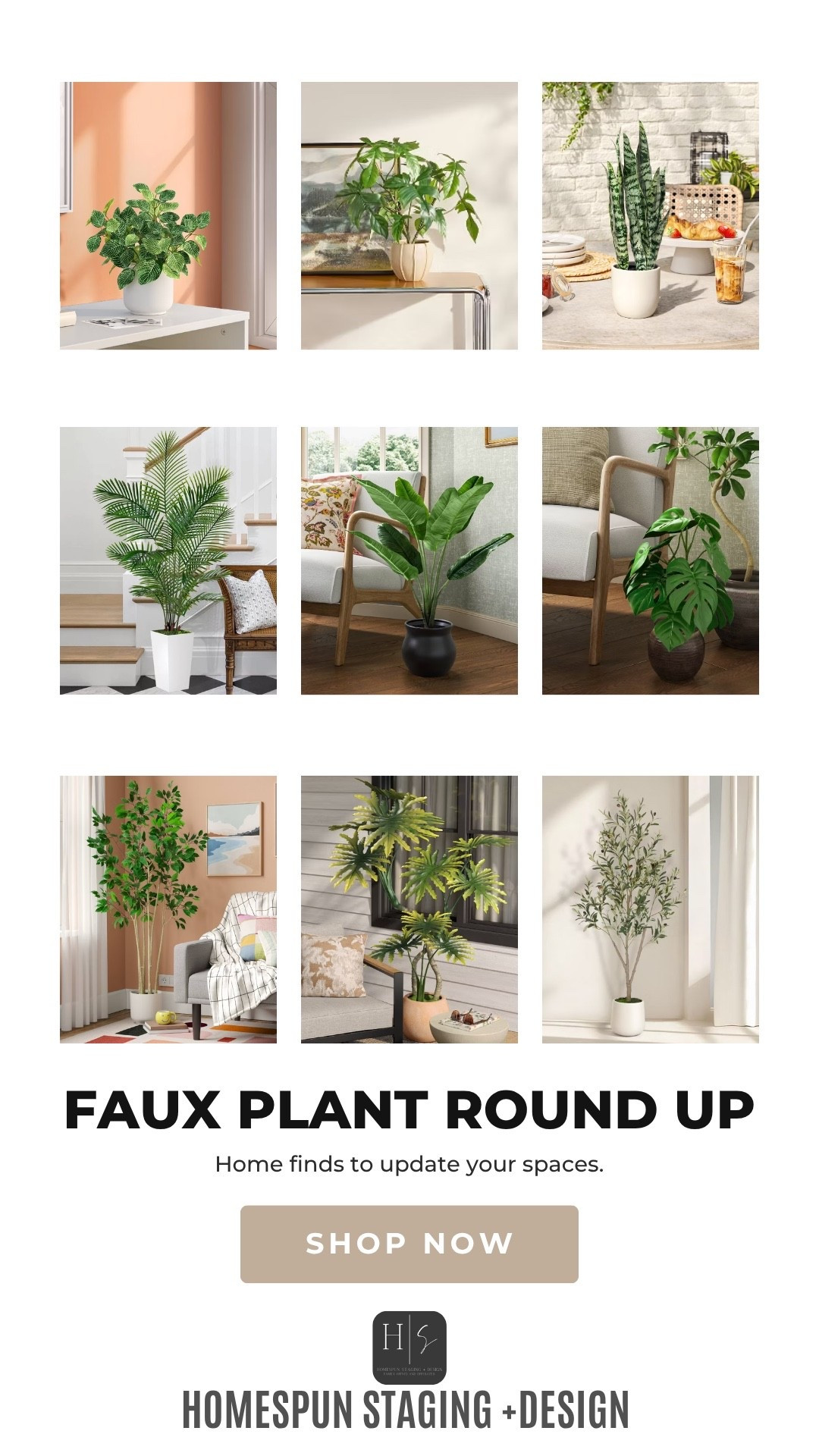 Lets shop plants 🪴 bonus no care needed  