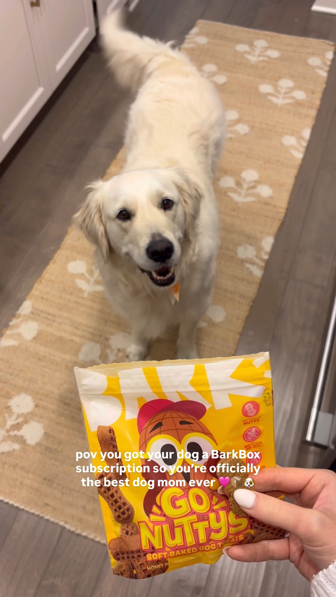 Ellie’s favorite day is when her BarkBox comes in the mail! 🩷 Subscribe now to spoil your dog too! You also get a free pair of Crocs with a BarkBox or Super Chewer subscription! 🫶🏼 #ad #BarkPartner #ShopDog #BarkCoOwned @Bark

#LTKPets