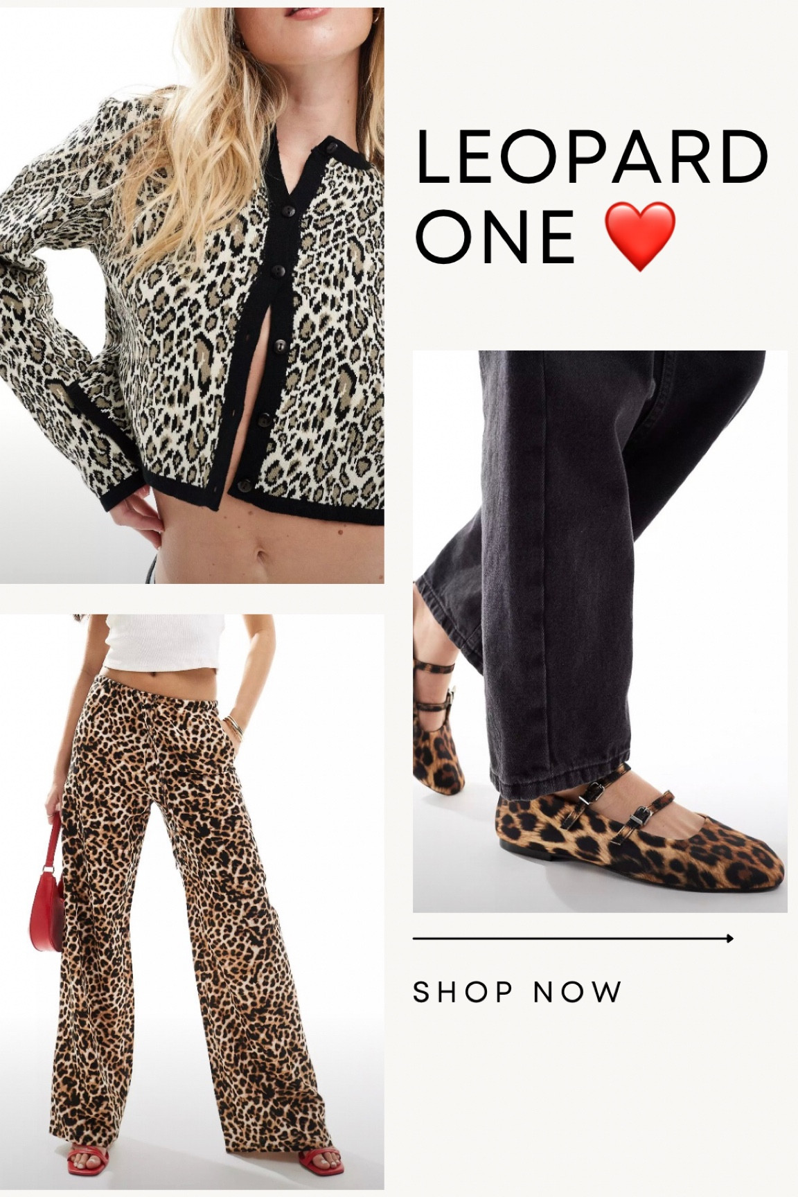 Leopard one ❤️