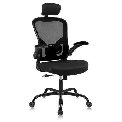 Maisley Mesh Office Chair | Wayfair North America