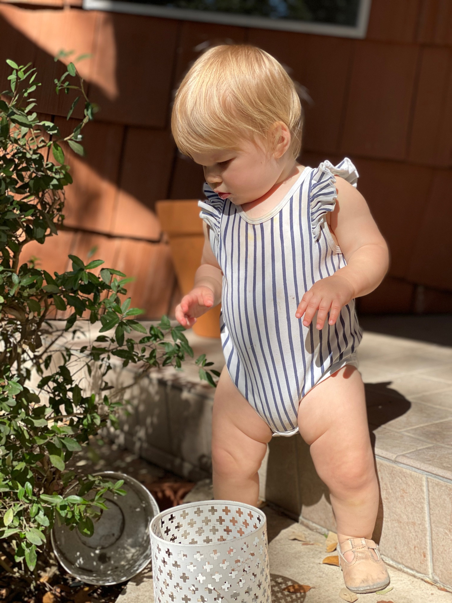 Favorite Pehr onesie for baby 

#LTKBaby