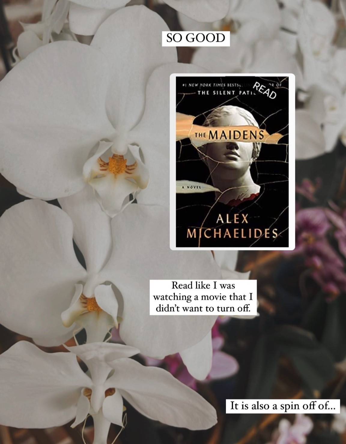 Favorite reads right now 

#LTKhome