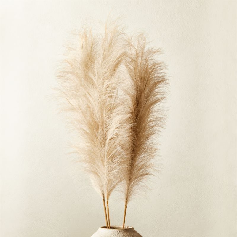 Faux Pampas Grass Taupe, Pampas, Home Decor, Dining Room Decor, Boho Decor, Home Style, Pampas Grass | CB2