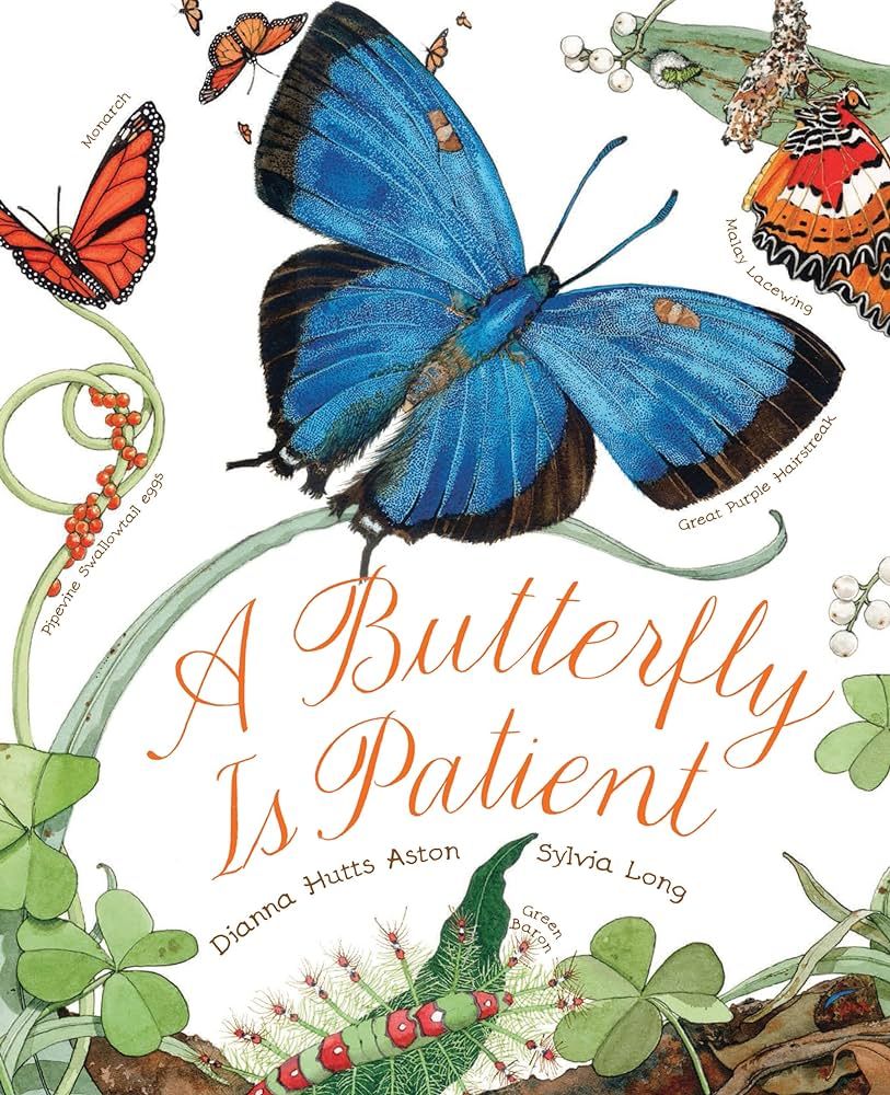 A Butterfly Is Patient: (Nature Books for Kids, Children's Books Ages 3-5, Award Winning Children... | Amazon (US)