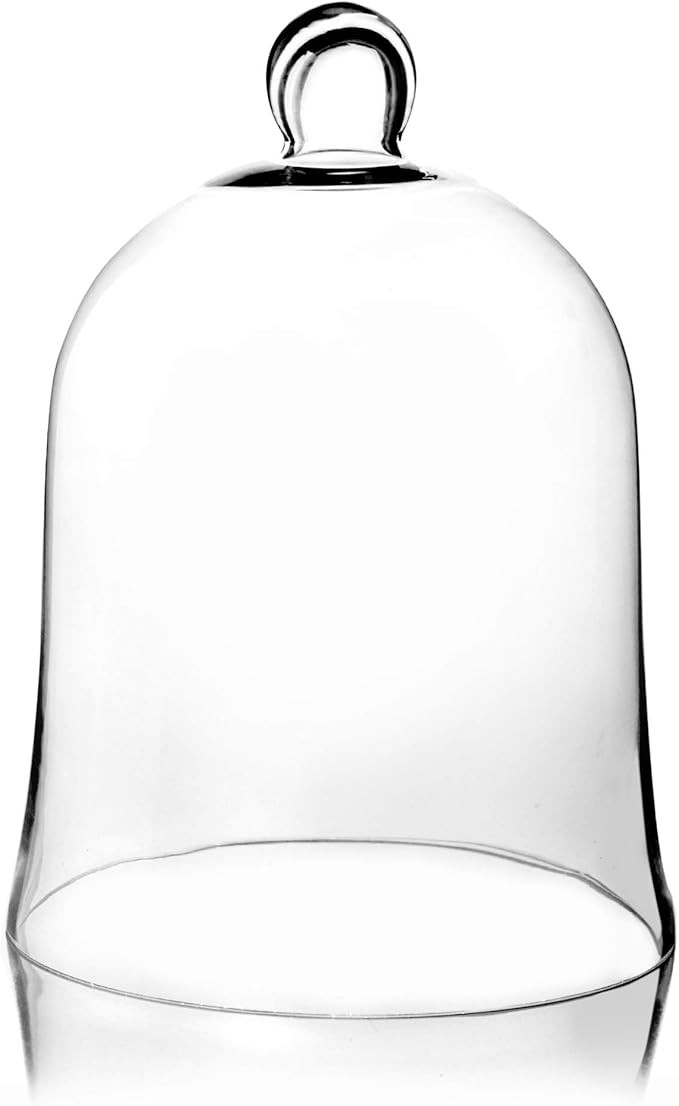 CYS EXCEL Glass Bell Dome Cloche (H:16" W:12") Enchanted Rose Glass Cover Cake Dessert Display Te... | Amazon (US)