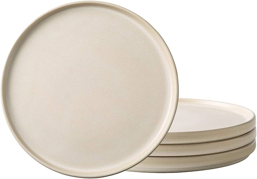 AmorArc Stoneware Dinner Plates Set of 4, 10.25 Inch Reactive Matte Glaze Ceramic Plates Set, Mod... | Amazon (US)