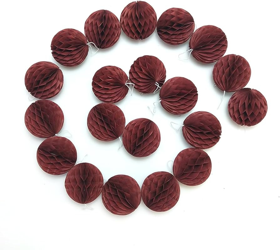 Hanging Paper Honeycomb Balls Party Decorations 20 Pieces 3" Tissue Paper Pom Poms Flower Balls f... | Amazon (US)