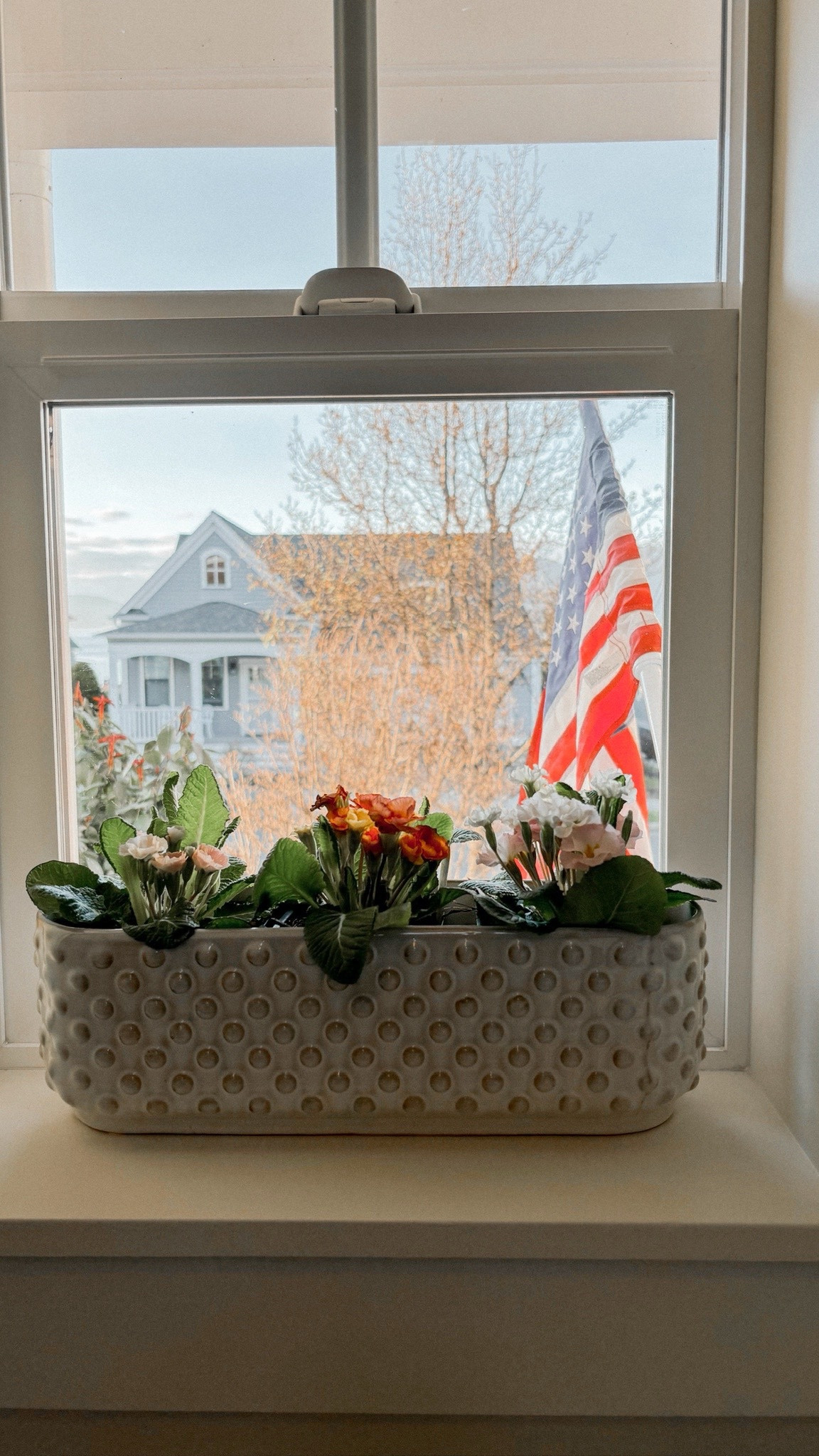 My mom got me this hobnail window planter box, isn’t it adorable? It’s made of stoneware and has a lovely white glaze. Love that it has 3 sections!

#LTKHome #LTKSeasonal #LTKStyleTip