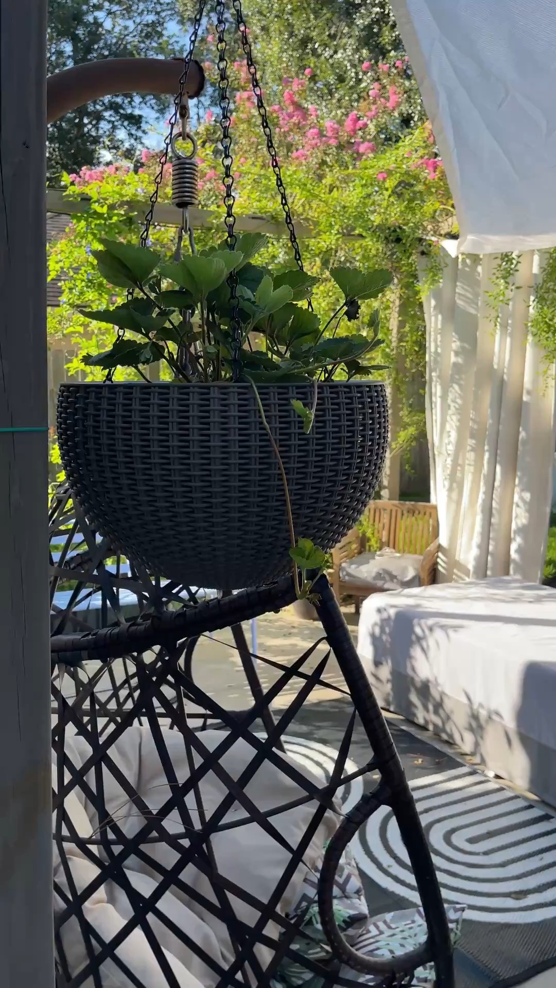 This outdoor hanging planter basket actually holds up to sunny days and Texas heat. I’m using these hanging baskets for my strawberries. 

#LTKHome