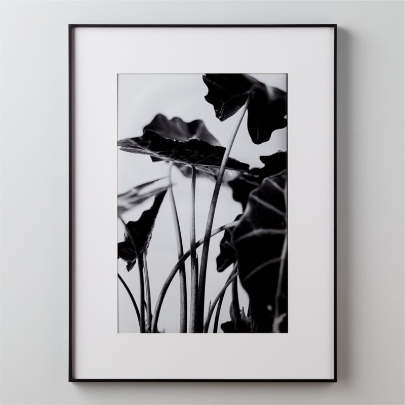 Gallery Soft Black Picture Frame with White Mat 24"x36" + Reviews | CB2 | CB2