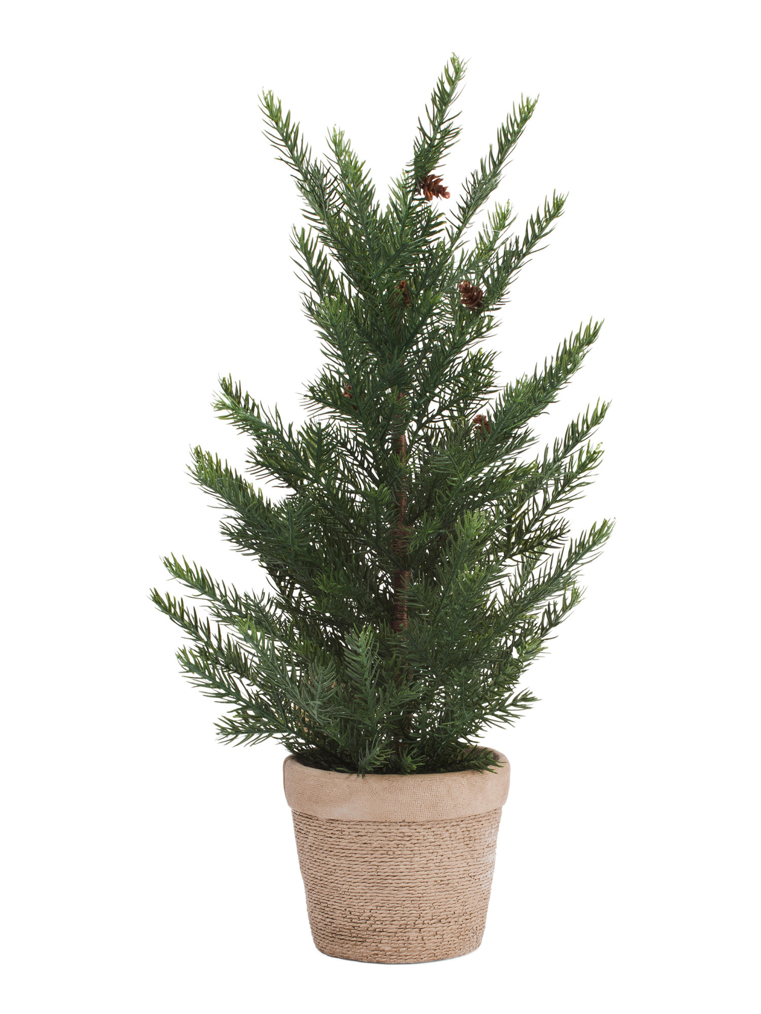 2ft Pinecone Tree In Woven Pot | Plants & Planters | Marshalls | Marshalls