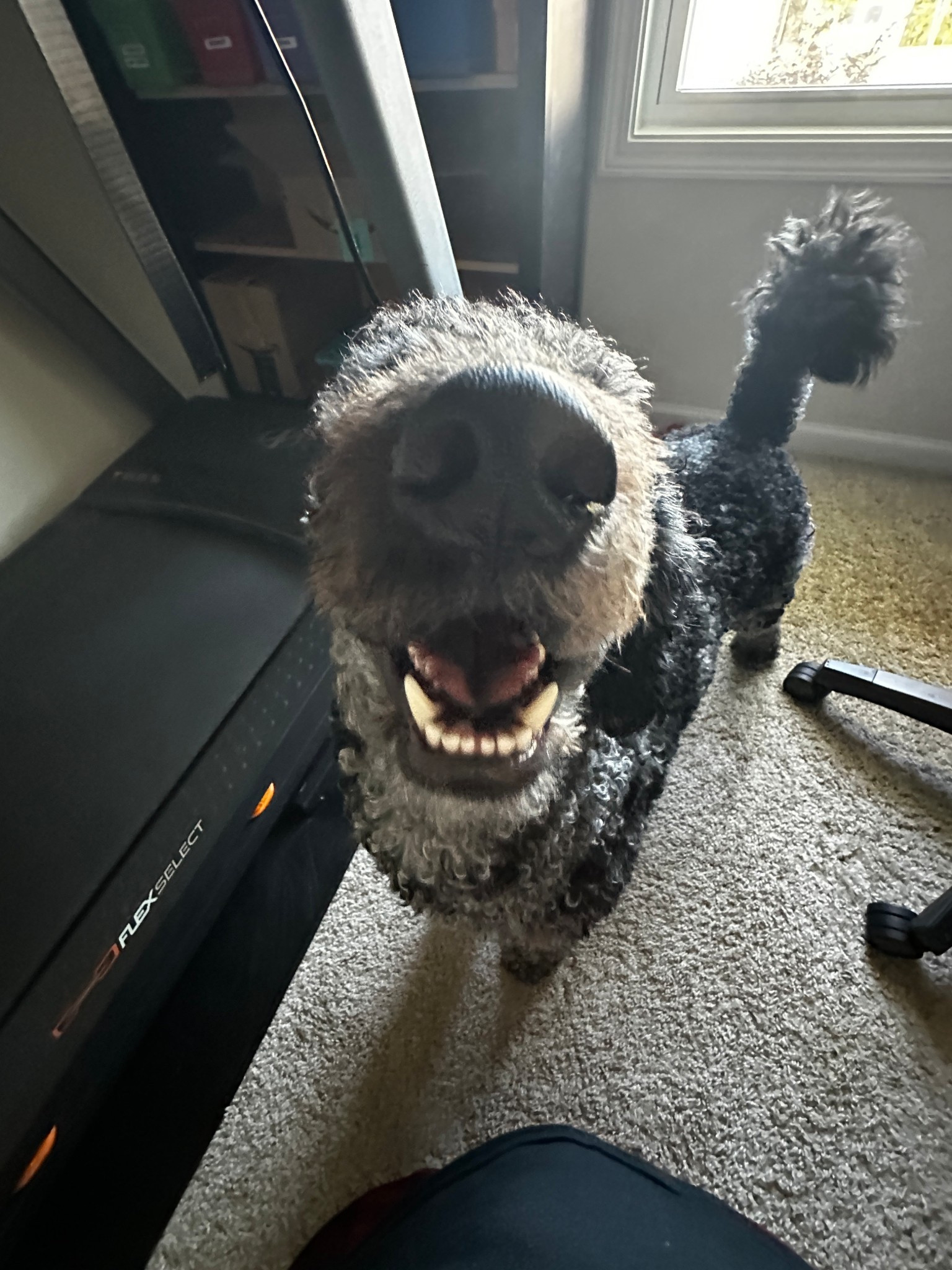 My coworkers are distracting 

#LTKdayinmylife #LTKmorningroutine #LTKmomlife