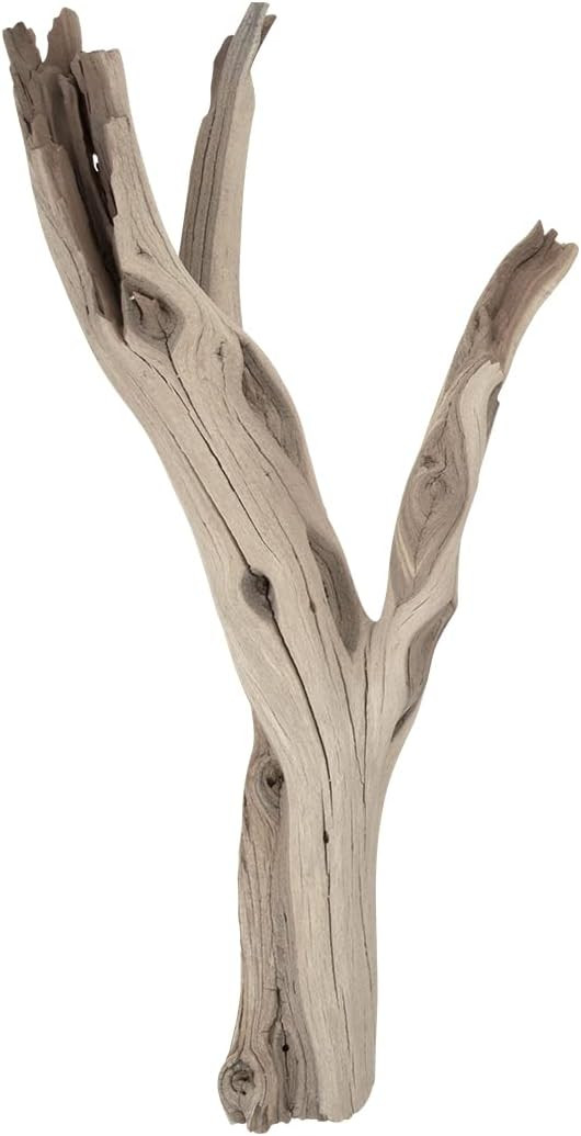 Koyal Wholesale 12” Driftwood Terrarium Decor, Clean California Manzanita Drift Wood Reptile De... | Amazon (US)