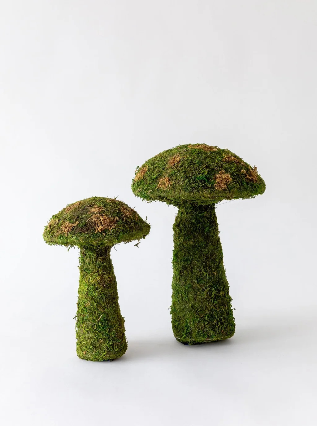 Moss Mushrooms | House of Jade Home