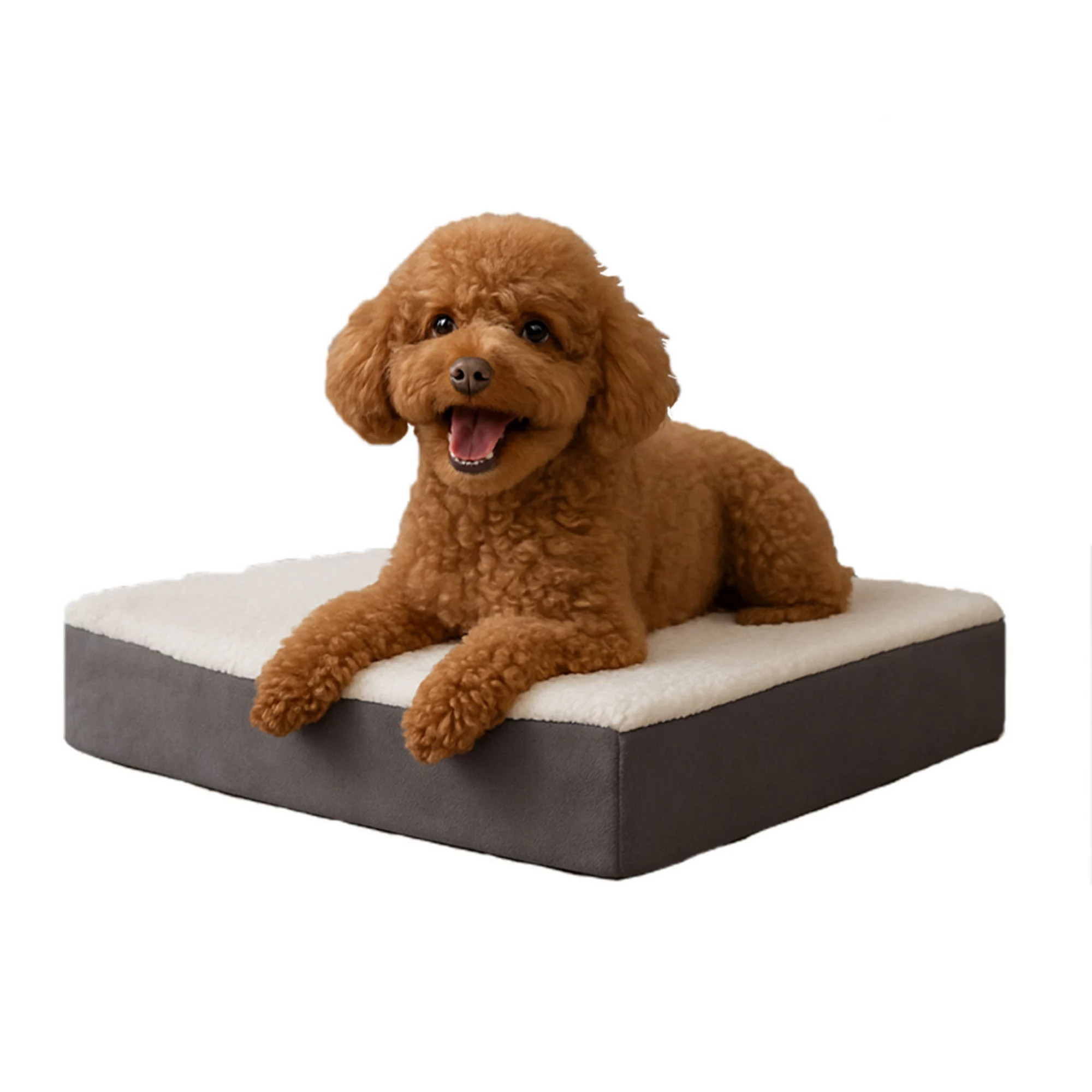 Pet Adobe Orthopedic Foam Pet Bed - 20 x 15 | Kohl's