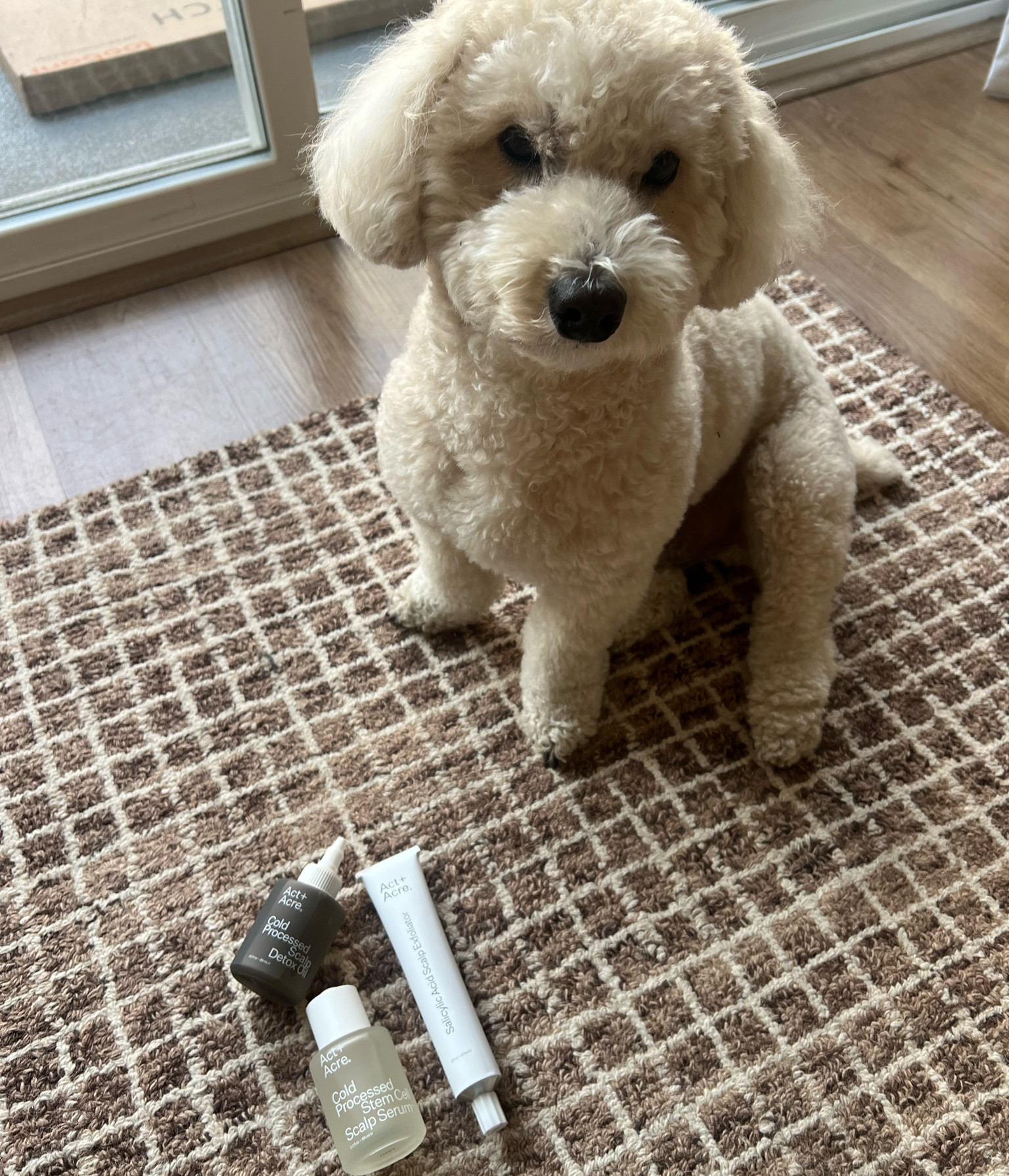 The best products for my scalp 😍 Such a huge fan of Act + Acre

#LTKFindsUnder100 #LTKMostLoved #LTKGiftGuide