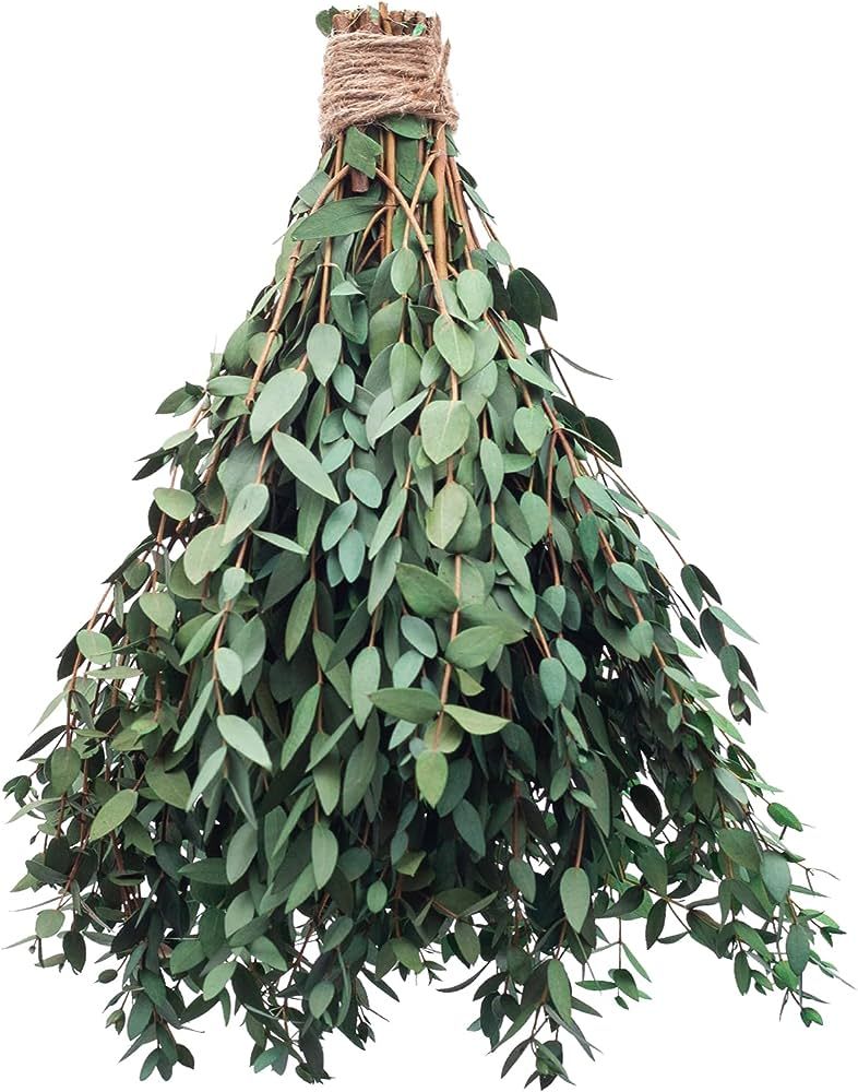 MIHUAGE Large Dried Eucalyptus Stems - Real Preserved Fresh Eucalyptus Plant for Arrangement, Wed... | Amazon (US)