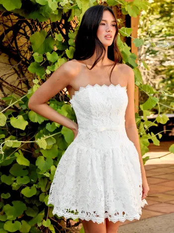 Lace Strapless Bowknot Flared Mini dress - Cider | Cider