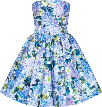 Hydrangea Corset Mini Dress | Nordstrom