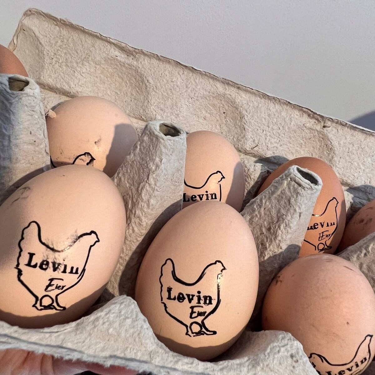 EGG STAMP, Chicken EGG Stamp, Egg Stamps, Custom Egg Stamp, Egg Labels, Mini Egg Stamp, Farm Stam... | Etsy (US)